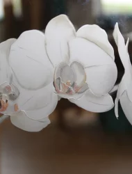 Glasgestaltung Bretten